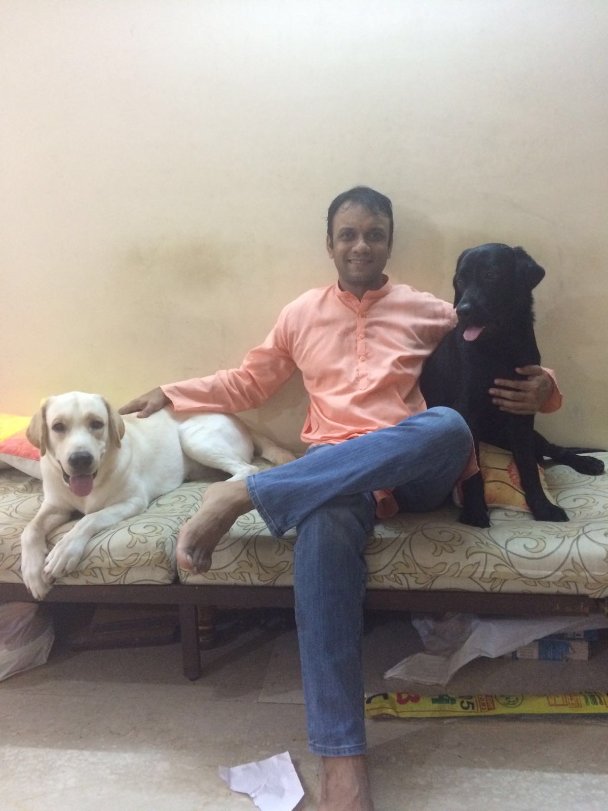 Littermates Hero and Amigo